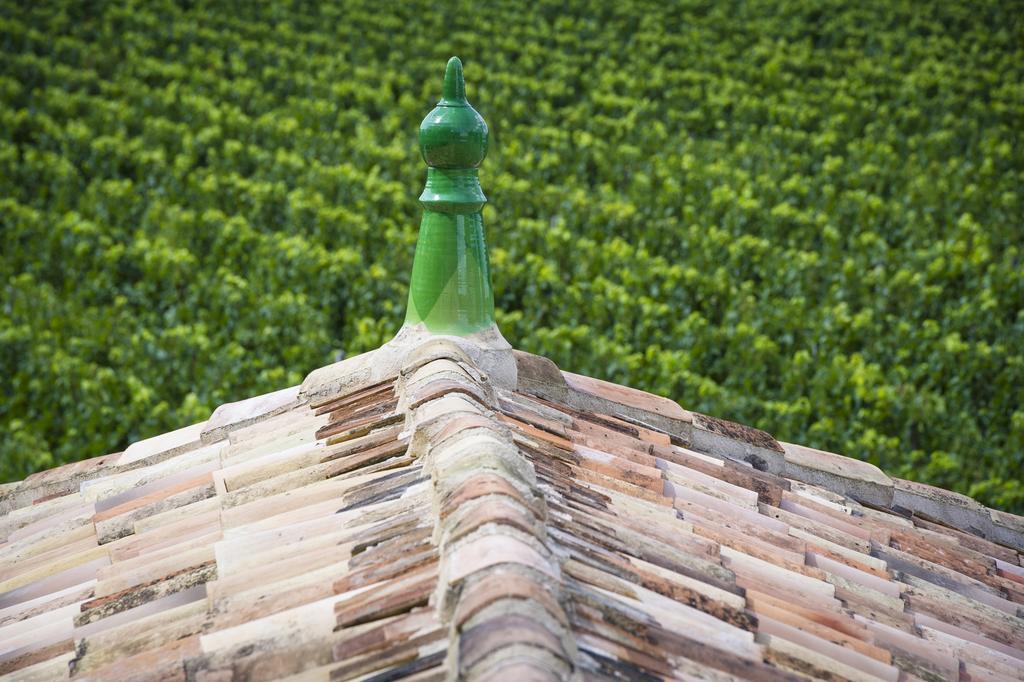 La Chartreuse Haut-Bailly - Anciennement Chateau Le Pape Léognan Exterior foto